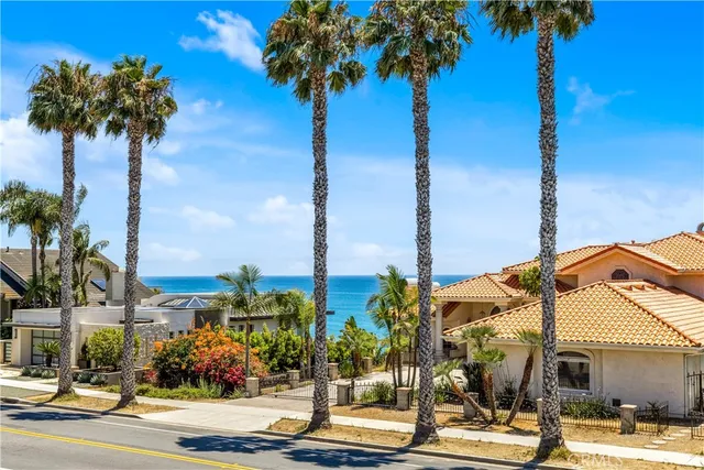 a view of a city with palm trees