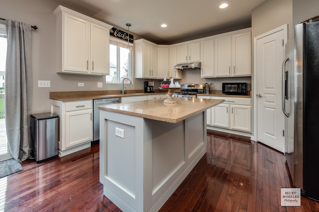 182 Chapin Way Oswego, IL 60543 - Photo 11 of 33