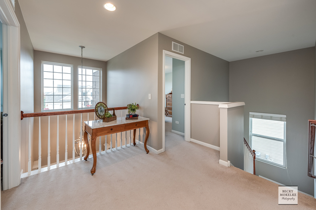 182 Chapin Way Oswego, IL 60543 - Photo 17 of 33