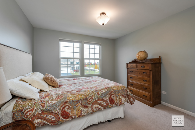 182 Chapin Way Oswego, IL 60543 - Photo 19 of 33