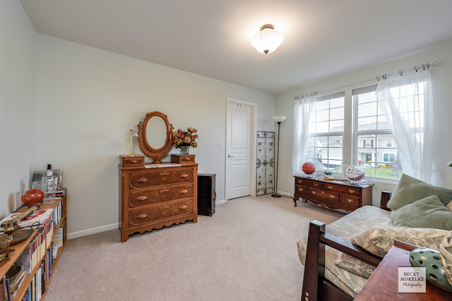 182 Chapin Way Oswego, IL 60543 - Photo 20 of 33