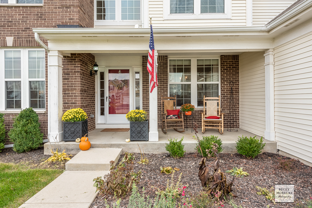 182 Chapin Way Oswego, IL 60543 - Photo 3 of 33