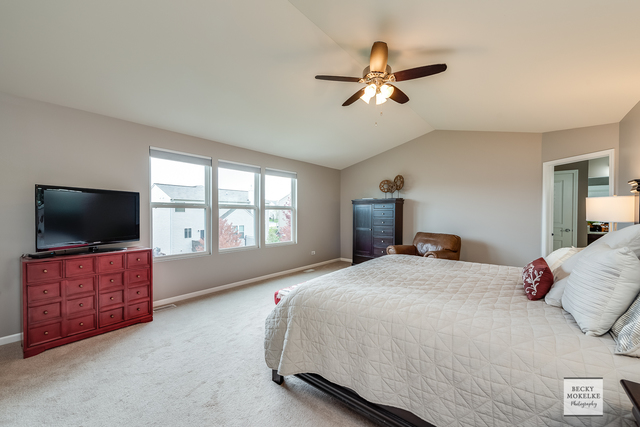 182 Chapin Way Oswego, IL 60543 - Photo 22 of 33