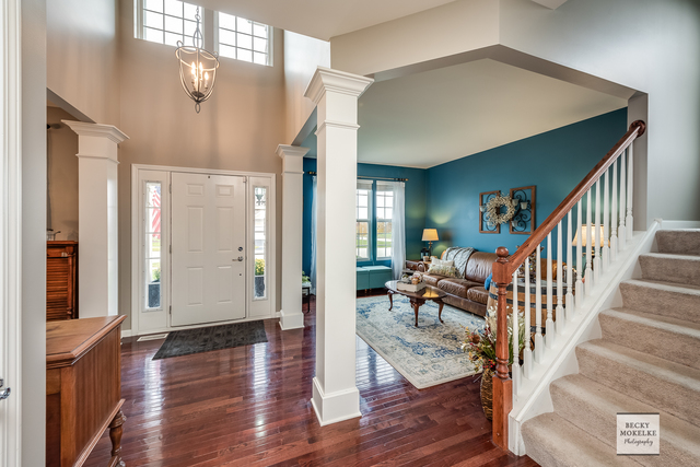 182 Chapin Way Oswego, IL 60543 - Photo 5 of 33