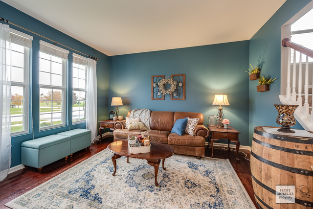 182 Chapin Way Oswego, IL 60543 - Photo 6 of 33