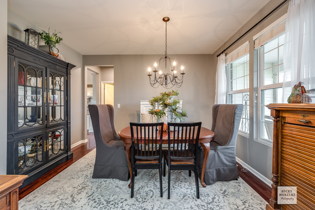 182 Chapin Way Oswego, IL 60543 - Photo 7 of 33