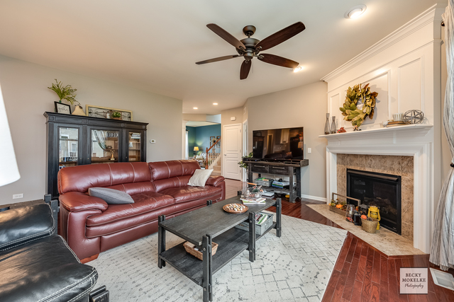 182 Chapin Way Oswego, IL 60543 - Photo 9 of 33