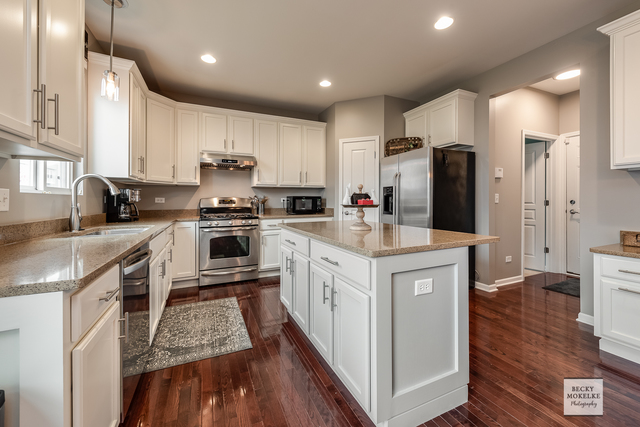 182 Chapin Way Oswego, IL 60543 - Photo 10 of 33