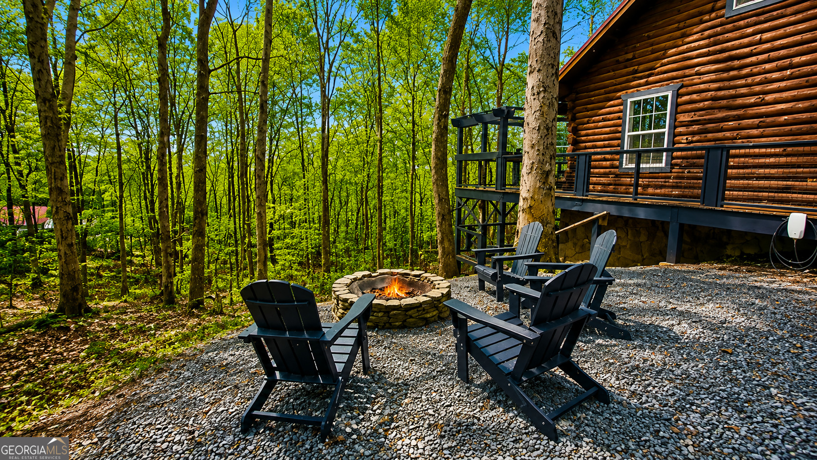 325 Pettit Ridge Road Ellijay, GA 30536 - Photo 2 of 48