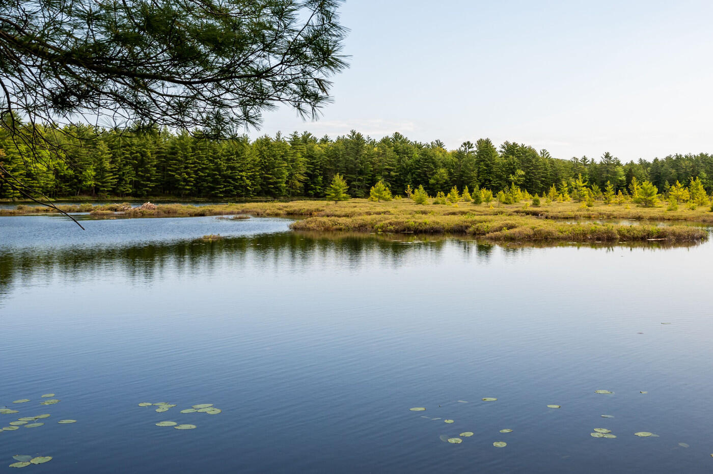 87 Charles Street Milton, NH 03851 - Photo 8 of 20 87 charles-12.jpg-vsuniqueid-646cd732e6f