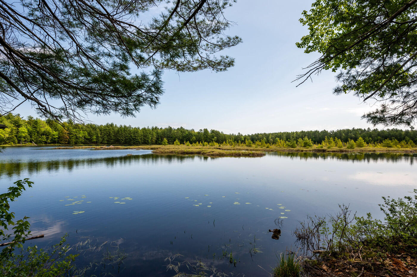 87 Charles Street Milton, NH 03851 - Photo 9 of 20 87 charles-13.jpg-vsuniqueid-646cd755de3