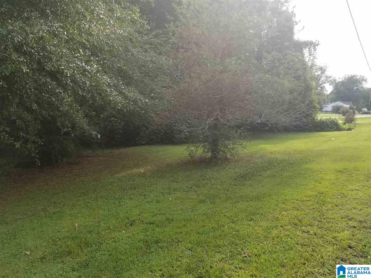 6524 Warrior River Road Bessemer, AL 35023 - Photo 16 of 50