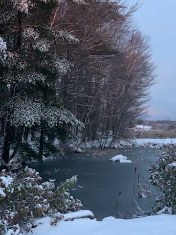 220 S Road Kents Hill, ME 04349 - Photo 81 of 89 south3