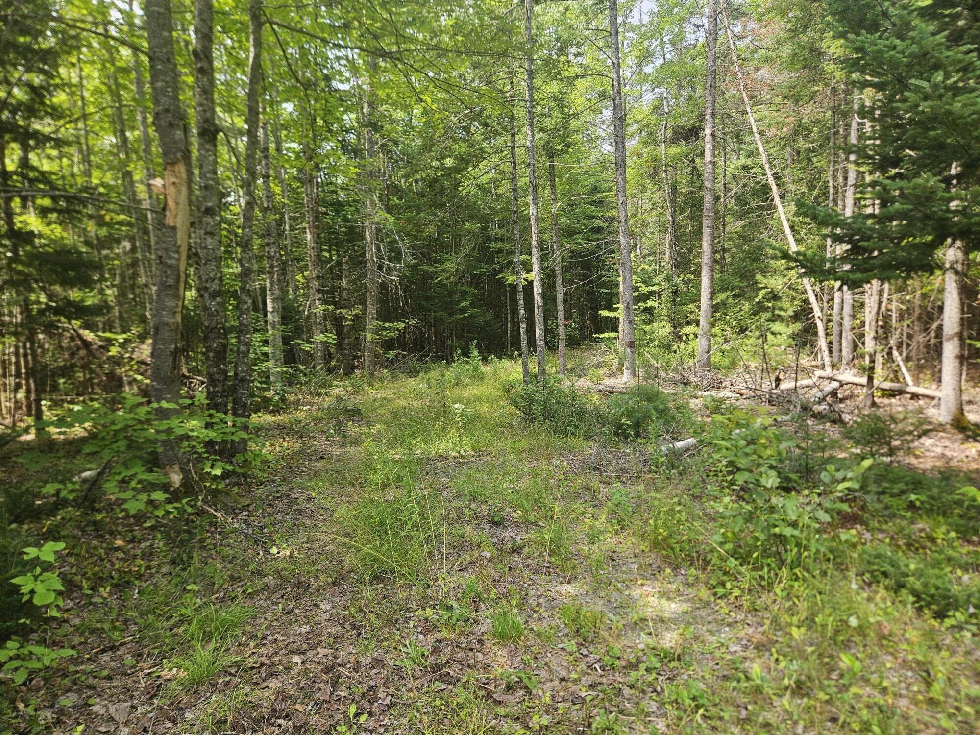 877 South Lagrange Road Bradford, ME 04410 - Photo 28 of 31 20260802_131322