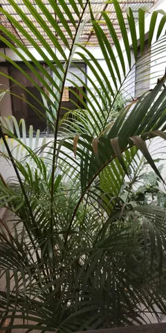 a bathroom with a bathtub and a sink
