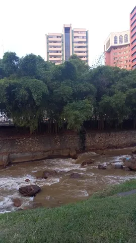 $137,500 | 2 A Calle, Unit 206 402, Almont, CO 81210