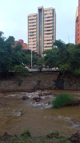 $137,500 | 2 A Calle, Unit 206 402, Almont, CO 81210