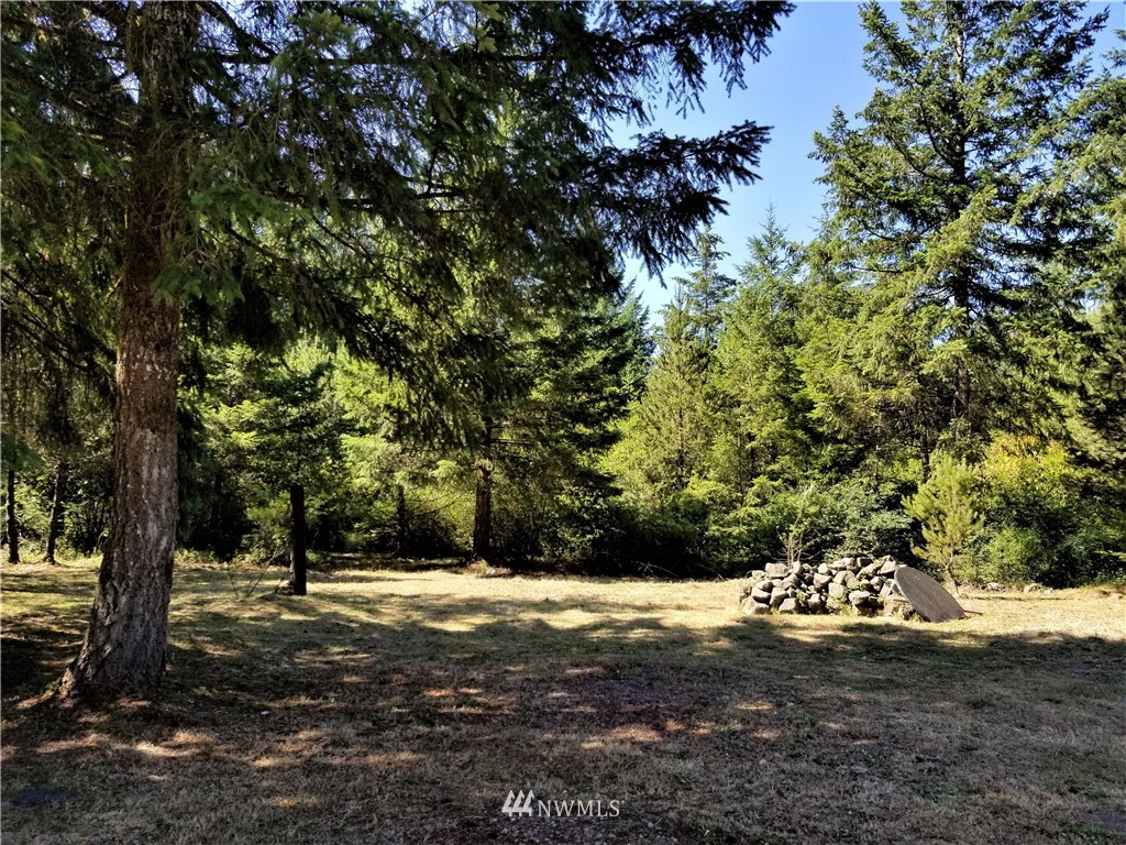 3110 West Martin Road Shelton, WA 98584 - Photo 14 of 15 Gallery Image 14