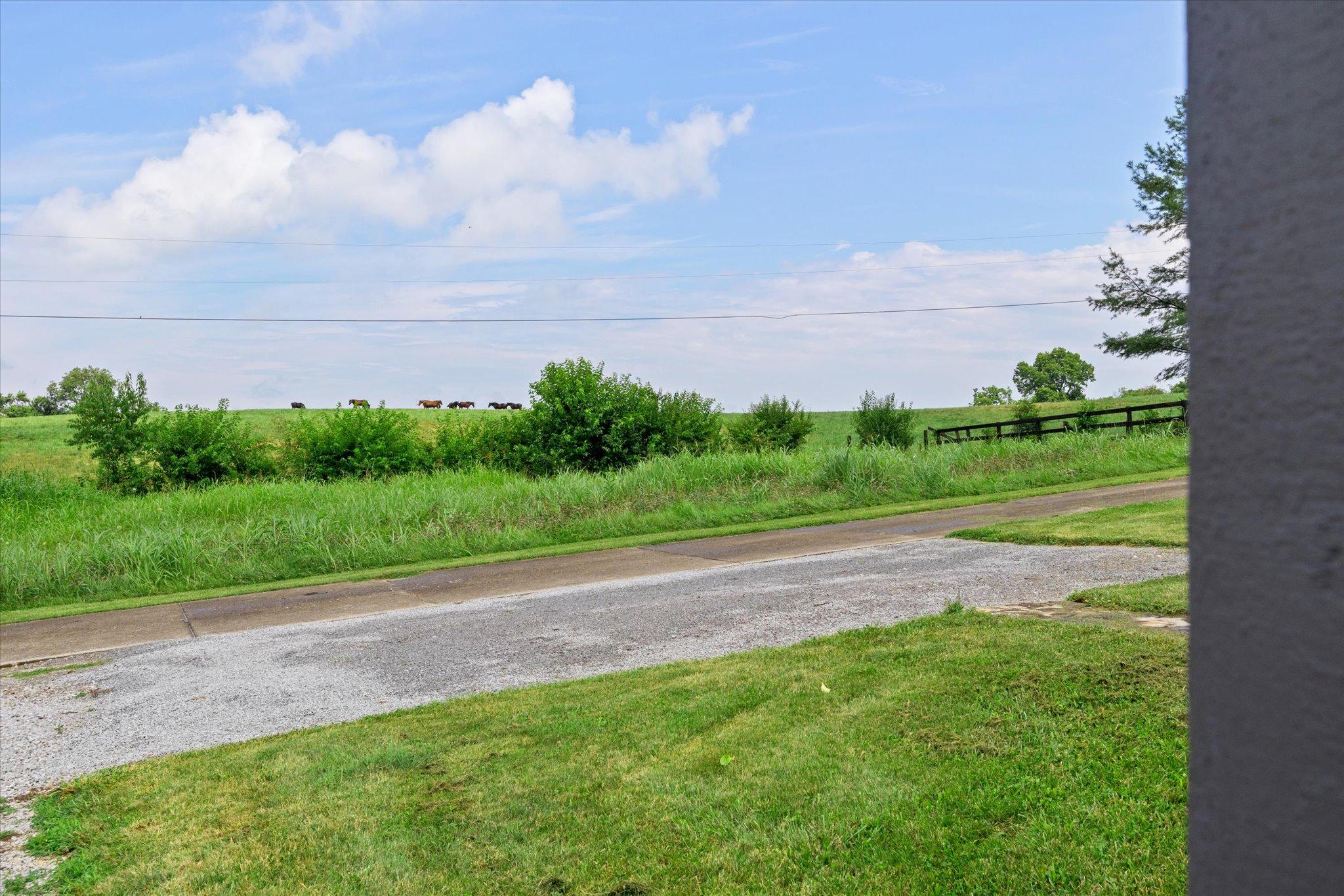 343 College Road Paris, KY 40361 - Photo 59 of 72 60-MG_1798