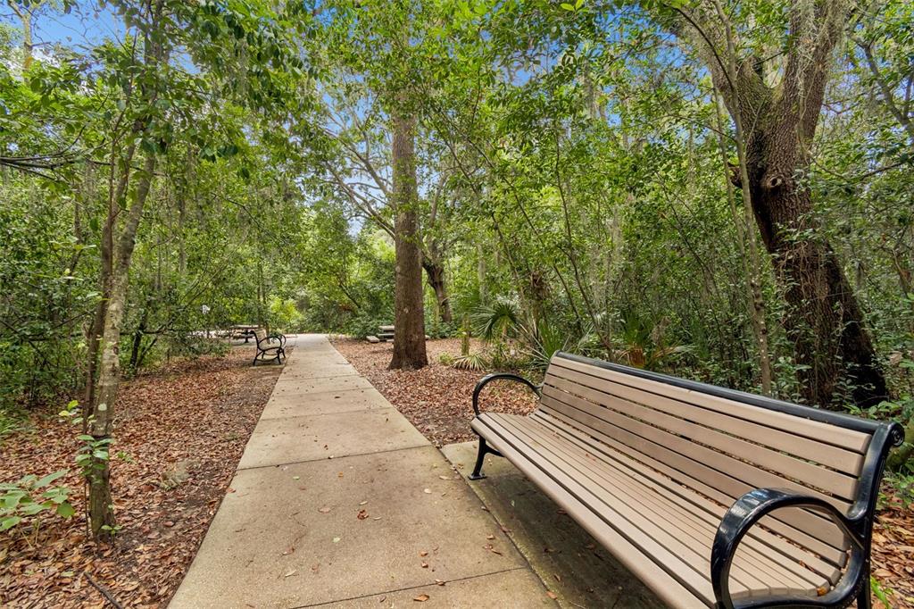 6065 Spring Crayfish Avenue New Port Richey, FL 34653 - Photo 48 of 61