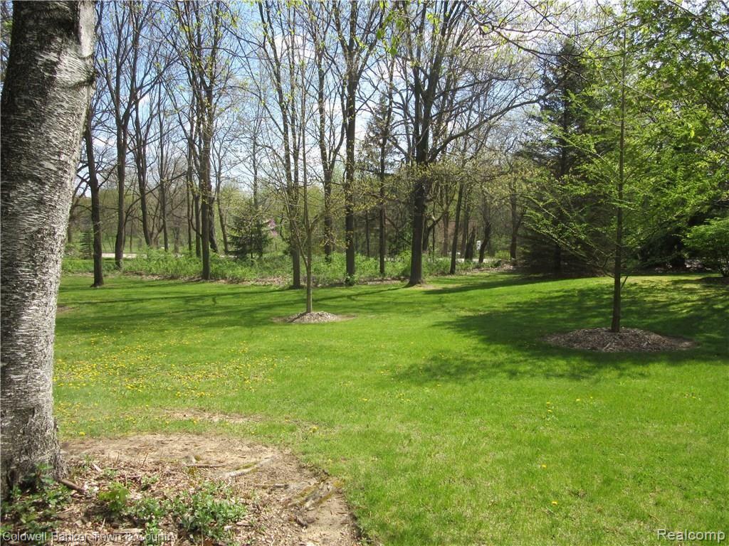 3758 Beattie Road Howell, MI 48843 - Photo 40 of 62 front yard 2
