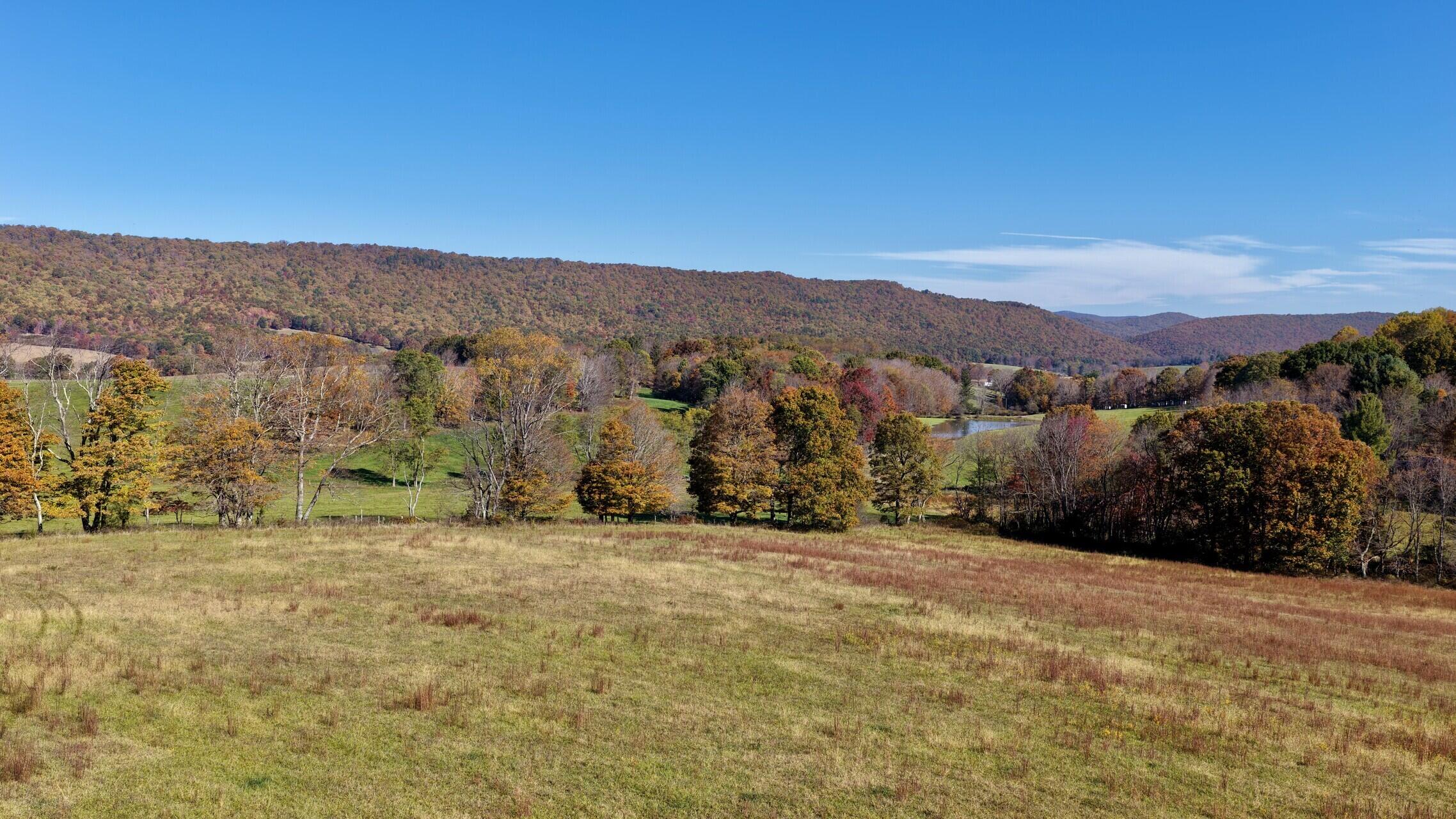 2114 Zenith Road Gap Mills, WV 24941 - Photo 80 of 80 Gallery Image 80
