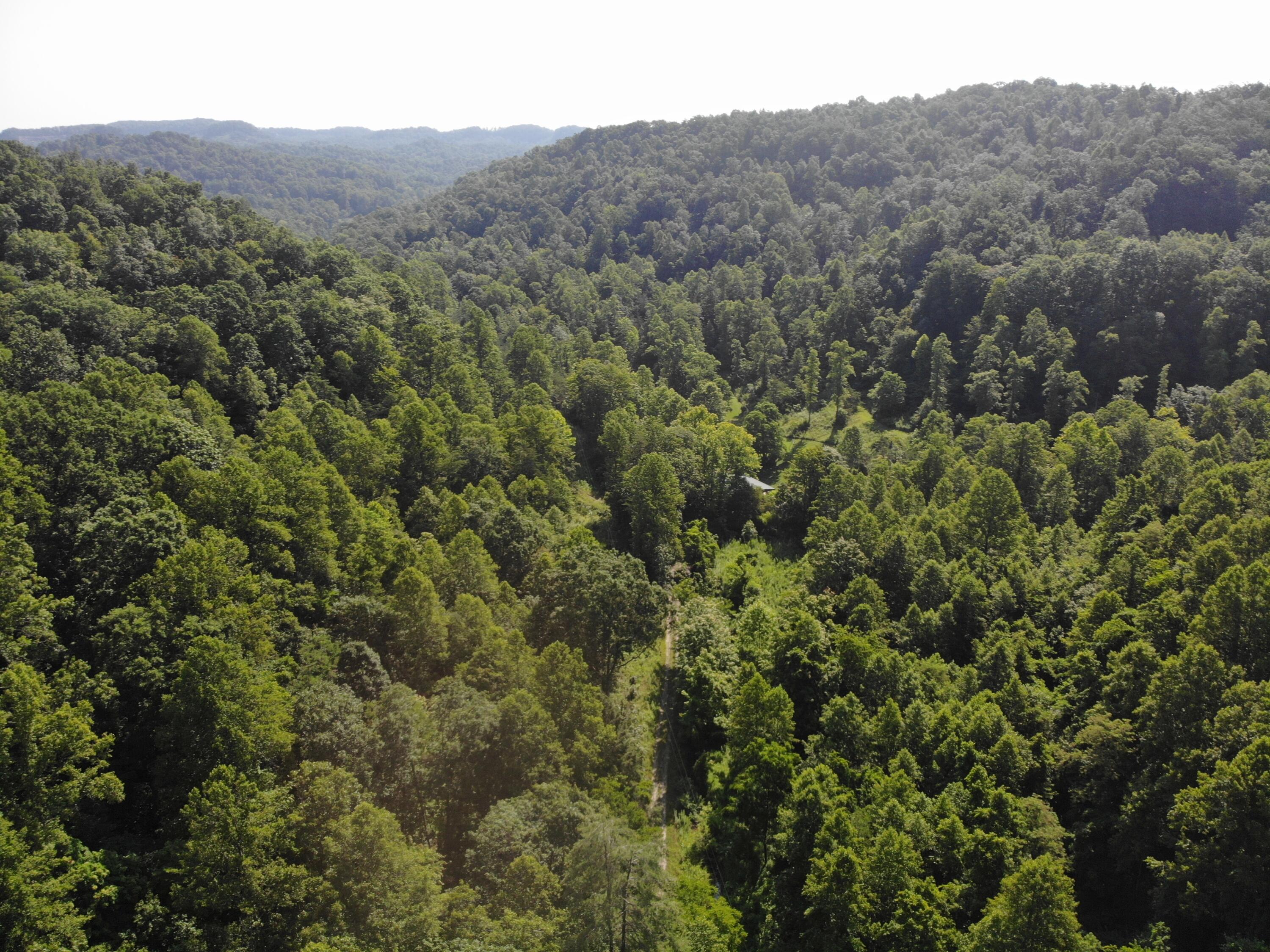768 Clinton Stiltner Road Frenchburg, KY 40322 - Photo 7 of 19 DJI_0120