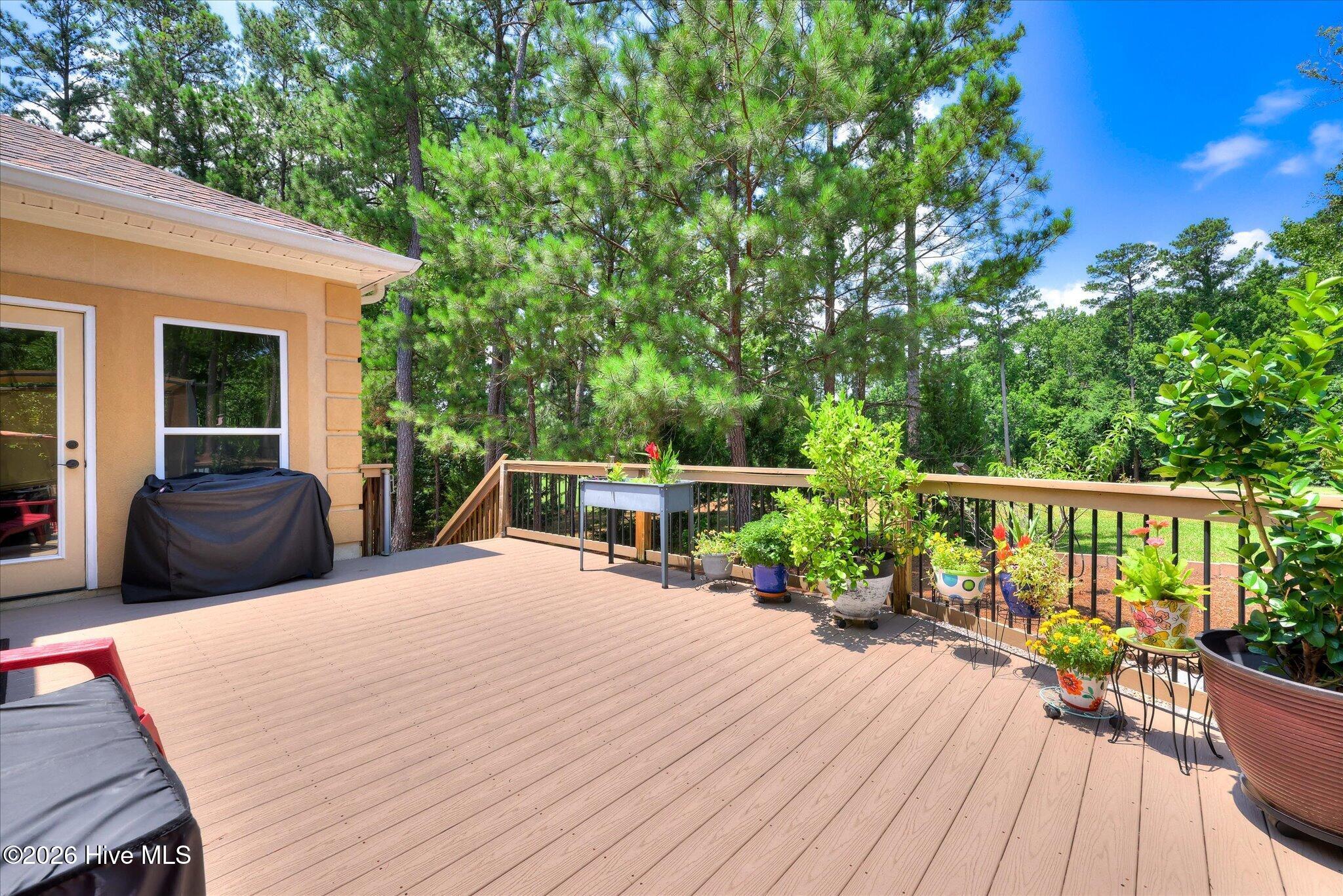 313 Oreda Place McCormick, SC 29835 - Photo 38 of 51