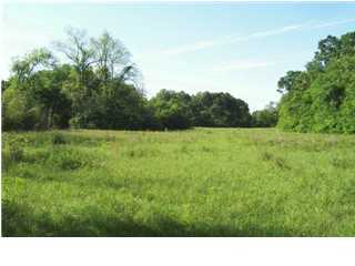 0 East Butcher Switch Road Lafayette, LA 70507 - Photo 1 of 4 Primary Photo