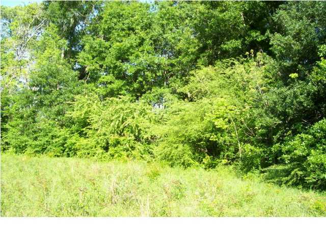 0 East Butcher Switch Road Lafayette, LA 70507 - Photo 3 of 4 Additional Photo