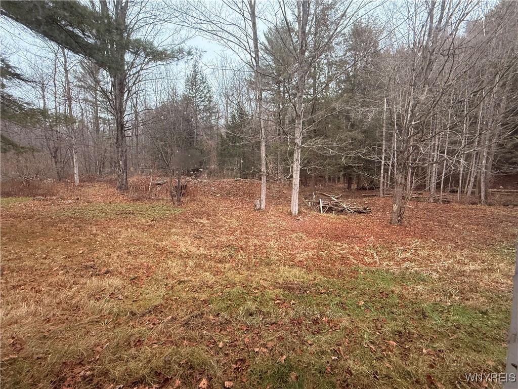 4310 County Road Angelica, NY 14709 - Photo 29 of 34