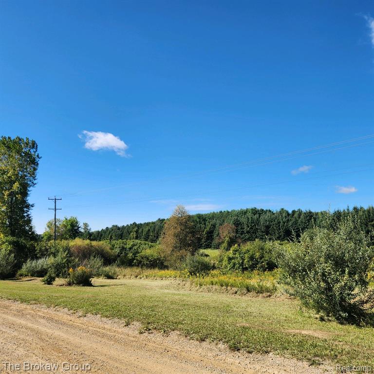 2 Jordan Road Melvin, MI 48454 - Photo 3 of 26