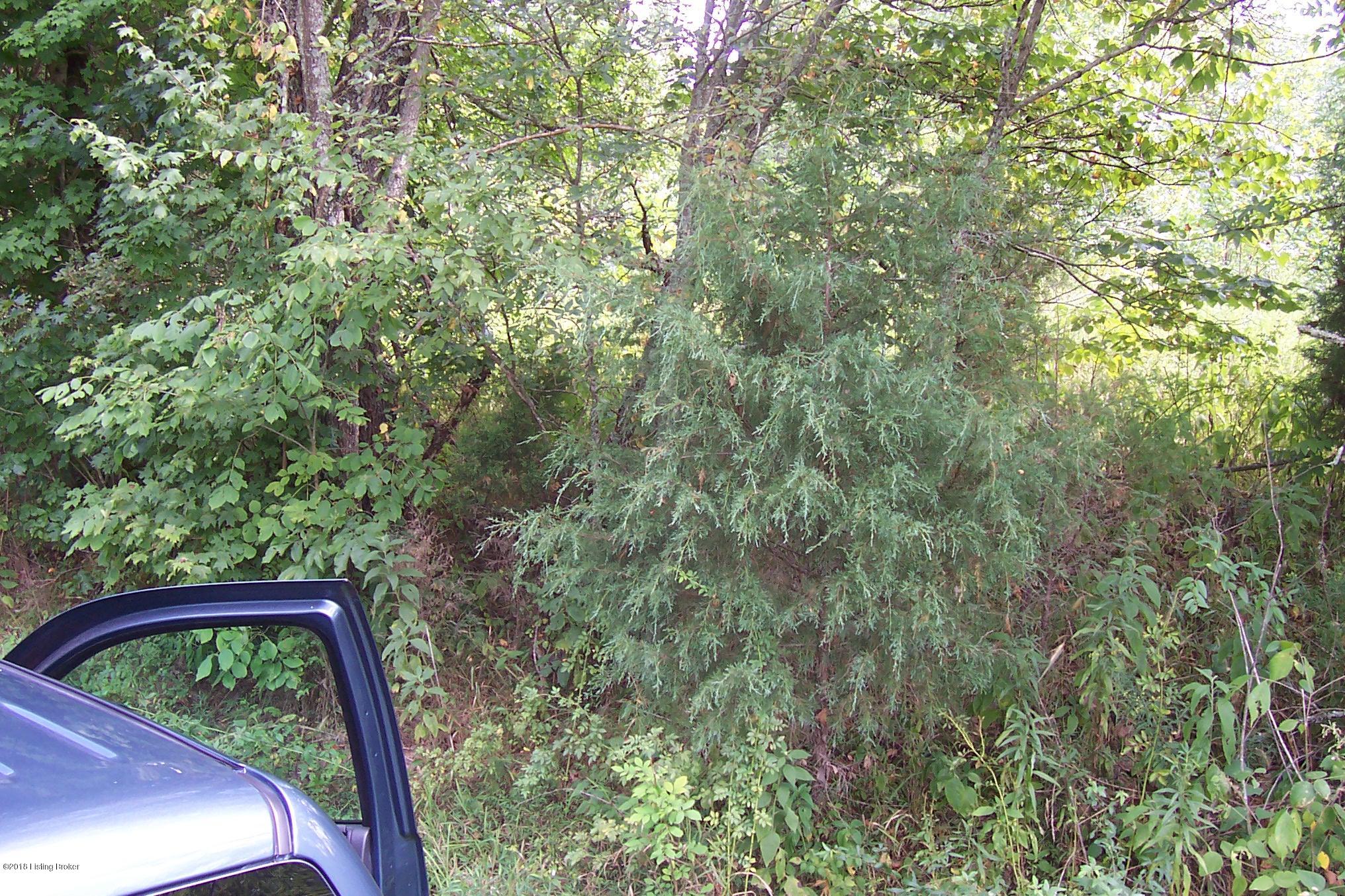 1 Yeaman Olaton Road Caneyville, KY 42721 - Photo 3 of 3 100_6843