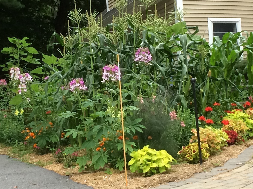 1 Clark Road Bedford, MA 01730 - Photo 27 of 30 Gallery Image 27