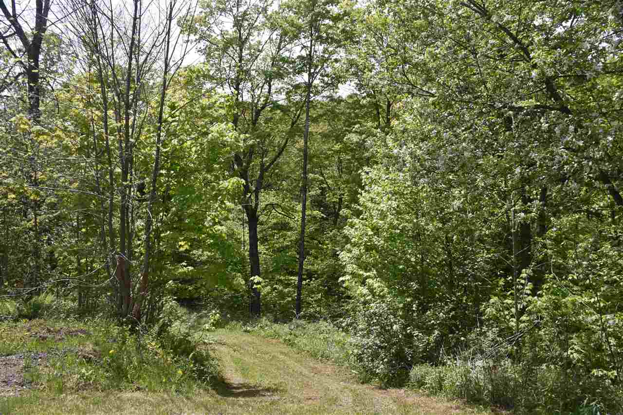 596 Stellar Road Williamstown, VT 05679 - Photo 4 of 37