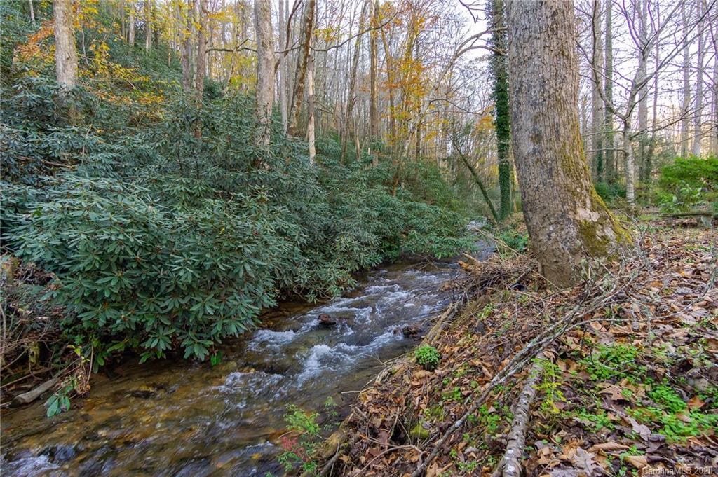 439 Kings Creek Road Brevard, NC 28712 - Photo 35 of 46 Gallery Image 35