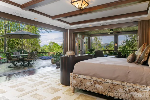 a view of a garden with plants