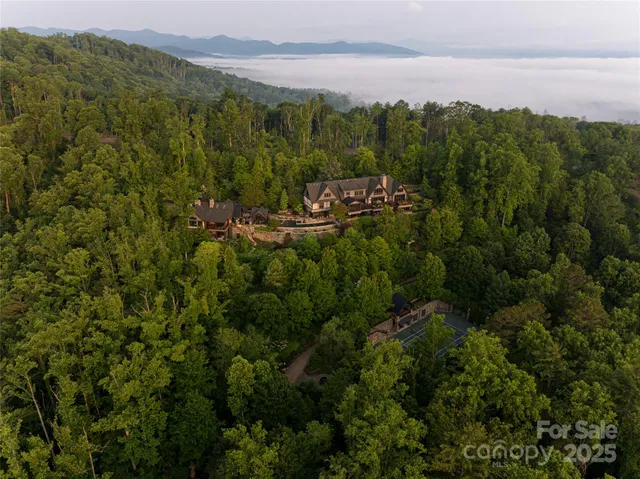 a view of a city with lush green forest