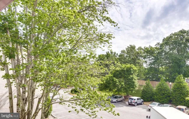 $1,650 | 5614 Bloomfield Drive, Unit 204, Alexandria, VA 22312