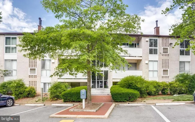 $1,650 | 5614 Bloomfield Drive, Unit 204, Alexandria, VA 22312