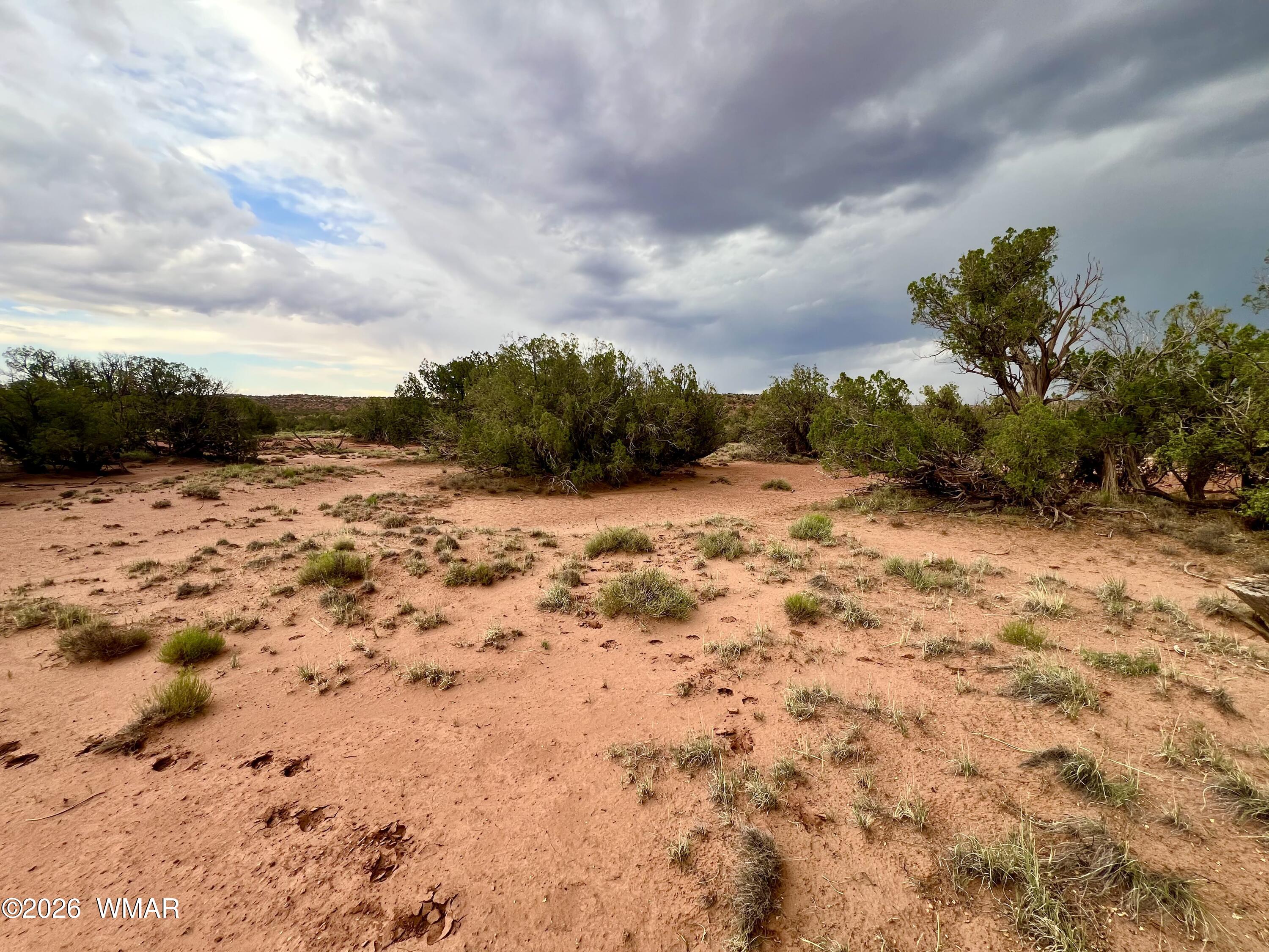 3727 Jay Road Snowflake, AZ 85937 - Photo 13 of 17 a view of a road with a yard