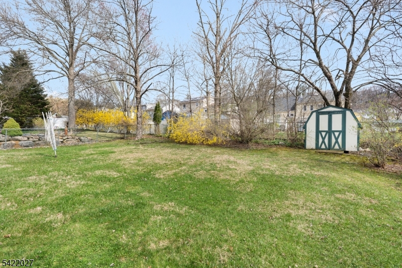 248 Perry Street Dover, NJ 07801 - Photo 4 of 24 a view of road with large trees