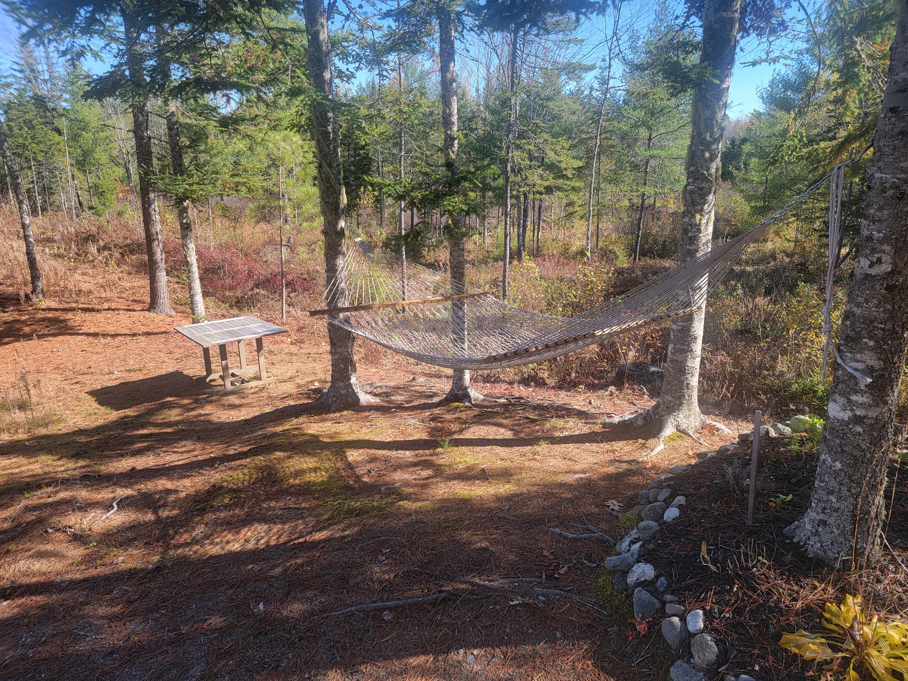 Lot 20 Town Farm Road Greenbush, ME 04418 - Photo 7 of 67 20241018_121829