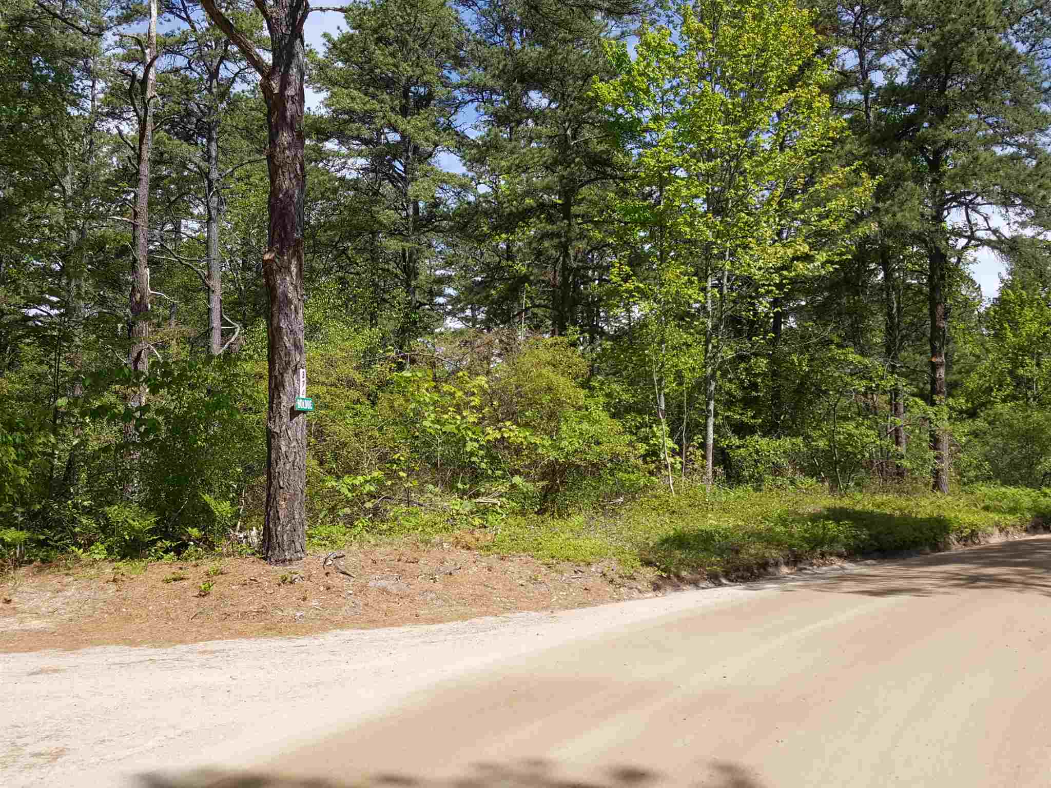 Lot 42-1 Huckins Road Freedom, NH 03836 - Photo 1 of 7