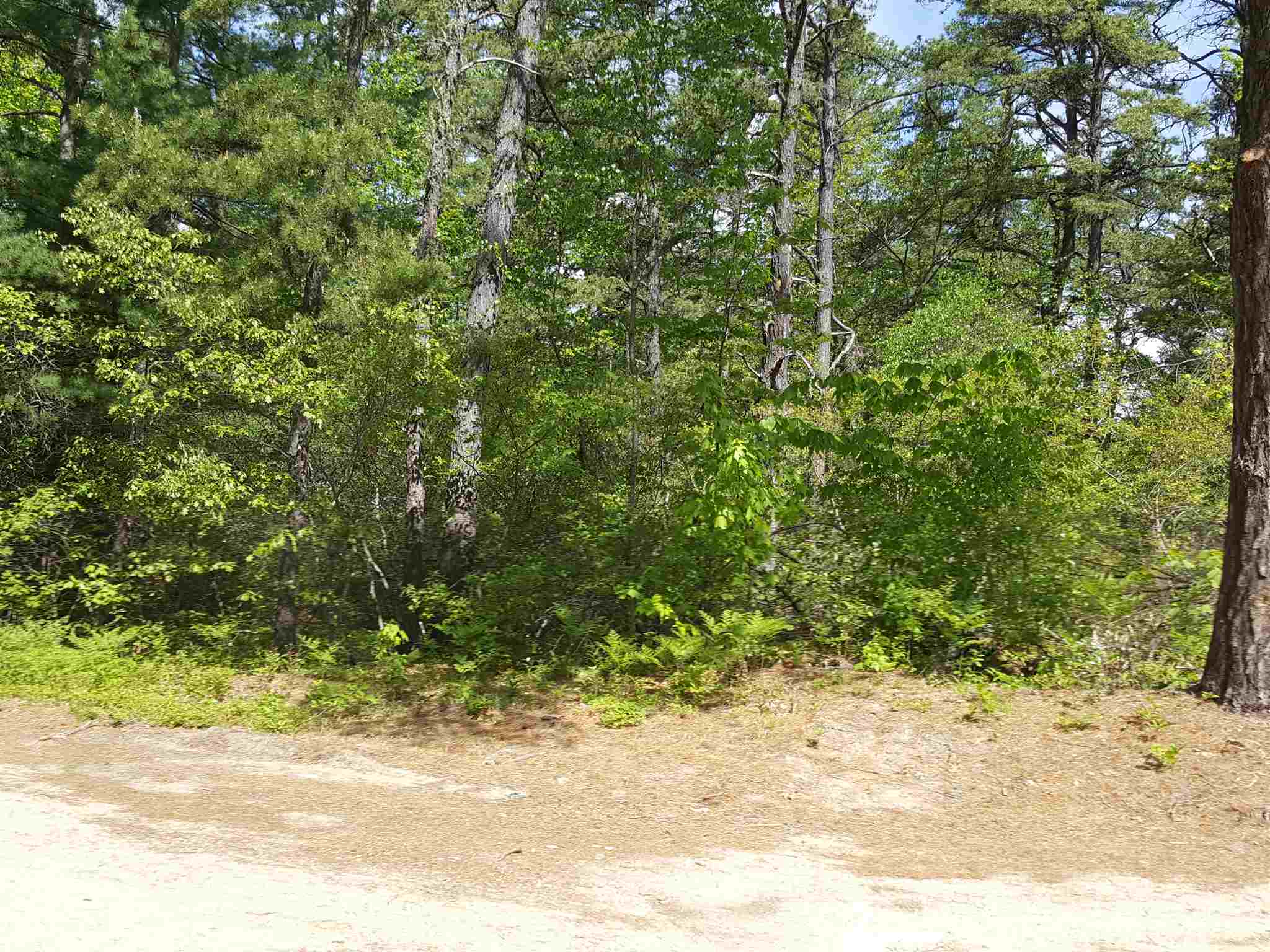 Lot 42-1 Huckins Road Freedom, NH 03836 - Photo 6 of 7