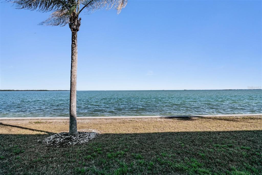 7 Dunoon Place, Unit 102 Dunedin, FL 34698 - Photo 46 of 53