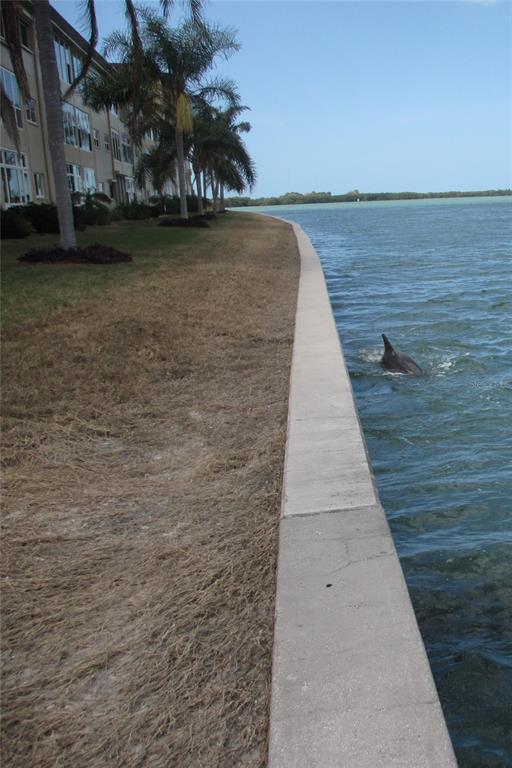 7 Dunoon Place, Unit 102 Dunedin, FL 34698 - Photo 53 of 53