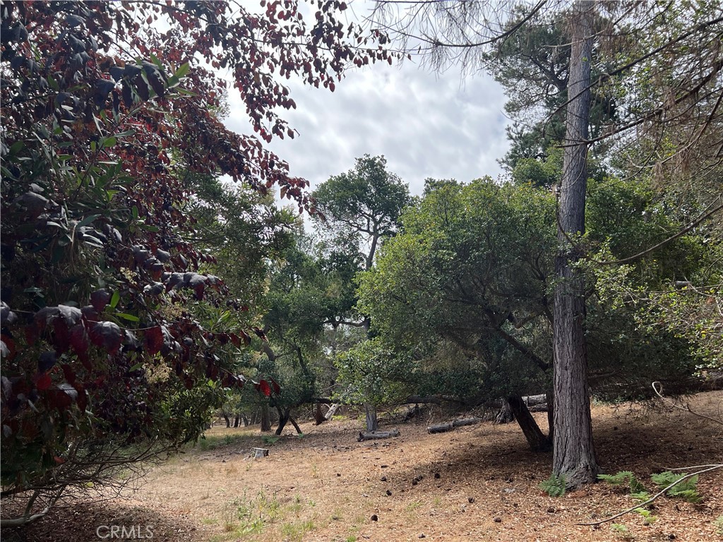 1280 Warren Road Cambria, CA 93428 - Photo 7 of 14 Gallery Image 7