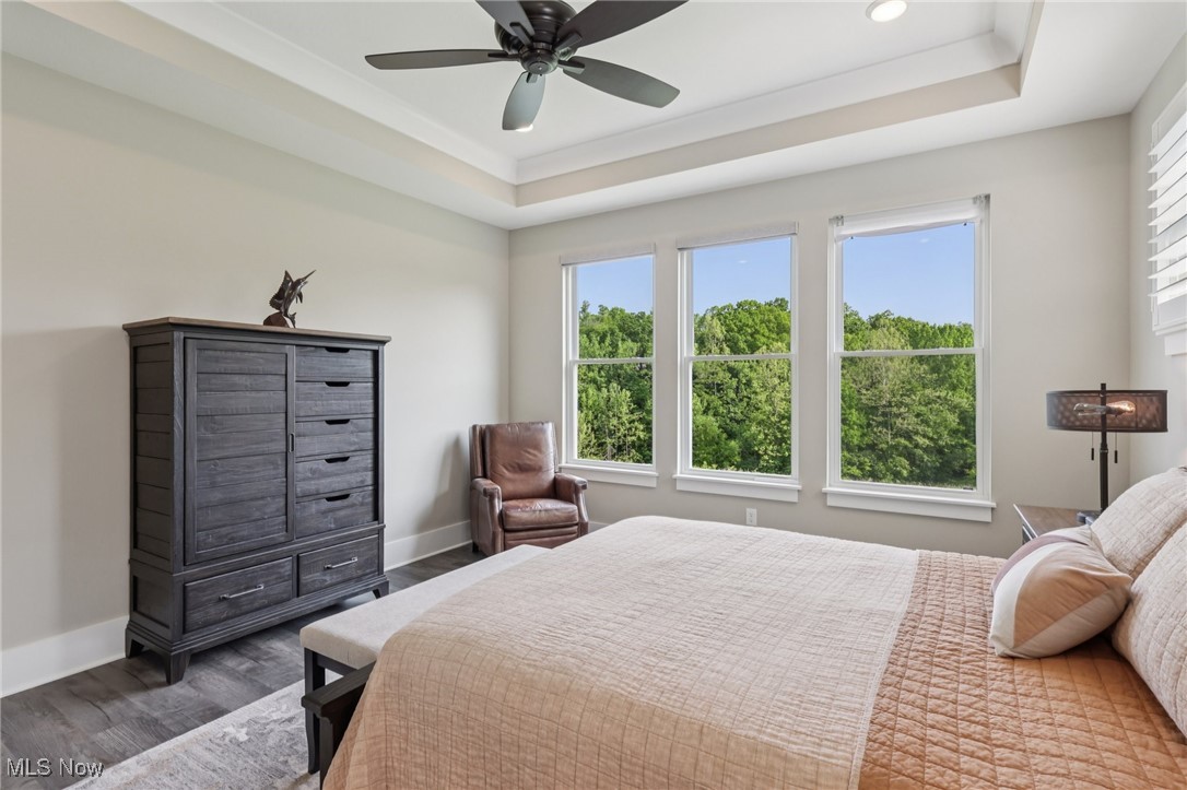 8034 Canyon Ridge Chagrin Falls, OH 44023 - Photo 14 of 49 Double tray ceiling, recessed lights & fan