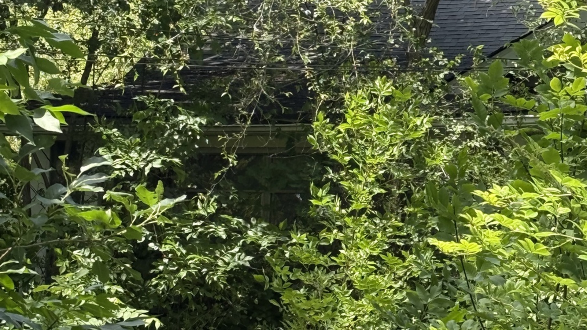 10802 West Yorkhouse Road Beach Park, IL 60087 - Photo 2 of 5
